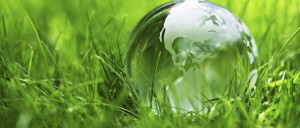 bioeconomia_site