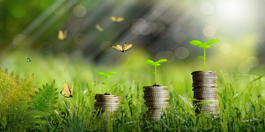 finanza verde