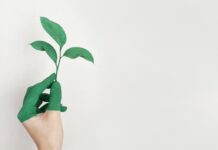 Salute, ambiente, biodiversità e clima: a rischio l’approccio One Health