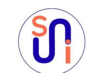 Rapporto Osservatorio I-Com sulla Cybersicurezza