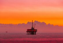 L’equazione energetica dei BRICS tra neutralità tecnologica e decarbonizzazione